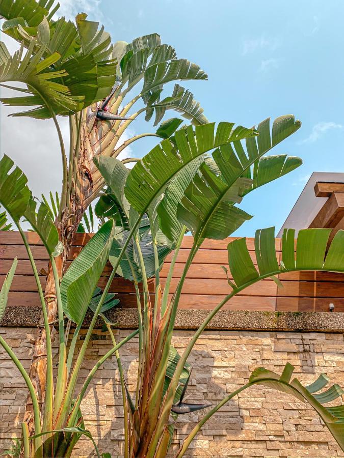 مبيت وإفطار جياوكسي Yage Hotspring House المظهر الخارجي الصورة